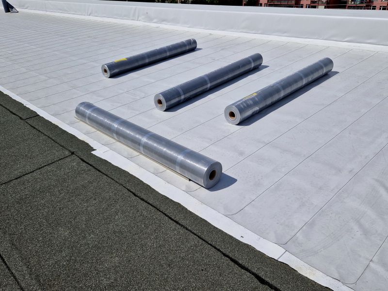 Tpo Roof Coating Service